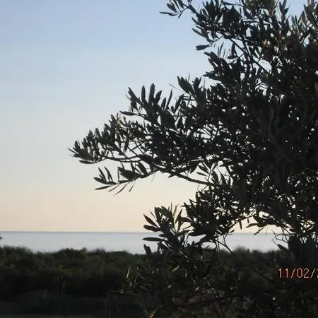 T3 Bord De - Vue A 500 M De La Plage- Piscine Chauffee A Casetta Di A *