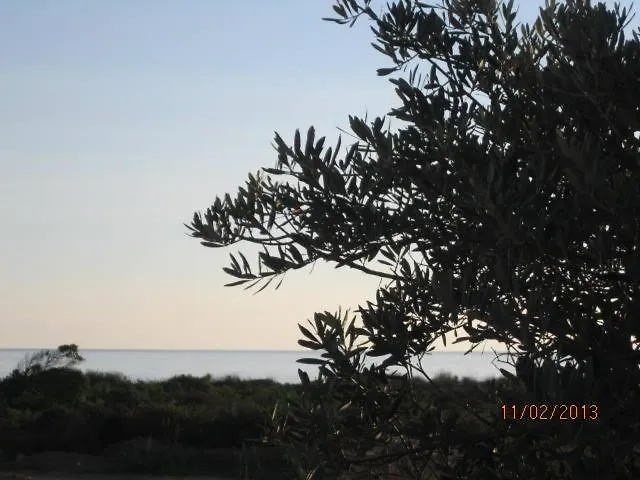T3 Bord De - Vue à 500 M De La Plage- Piscine Chauffée A Casetta Di A *